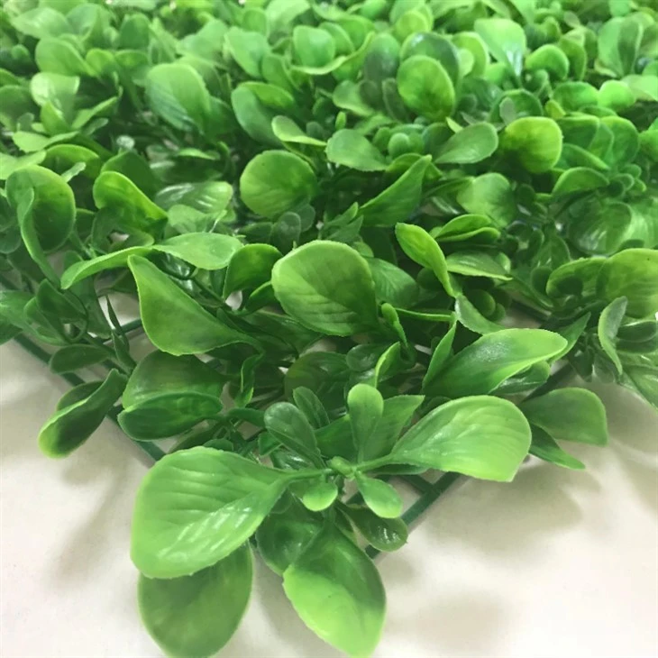 Artificial Plant Wall - Chinese Small Cabbage (1) Artificial Plant Wall - Chinese Small Cabbage (1)