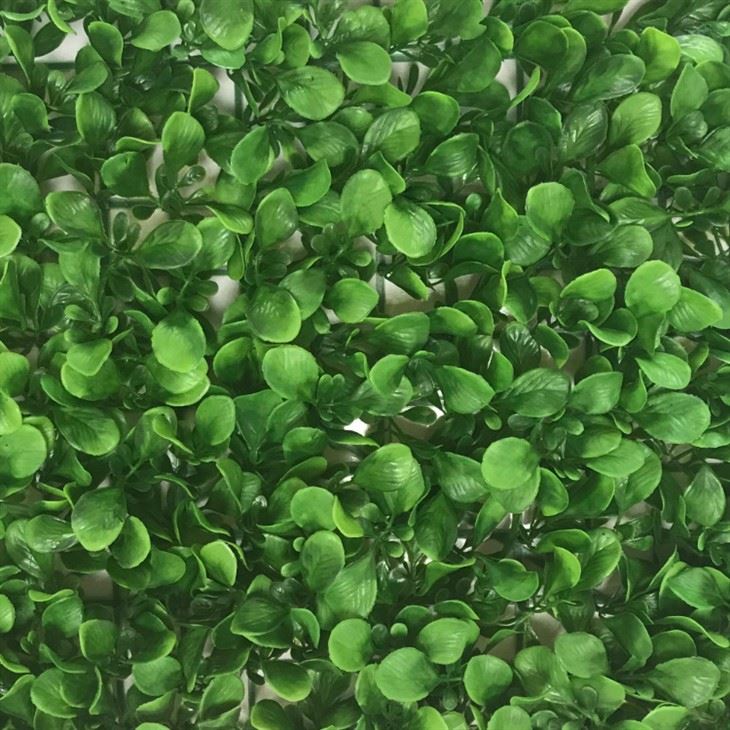 Artificial Plant Wall - Chinese Small Cabbage (3) Artificial Plant Wall - Chinese Small Cabbage (3)