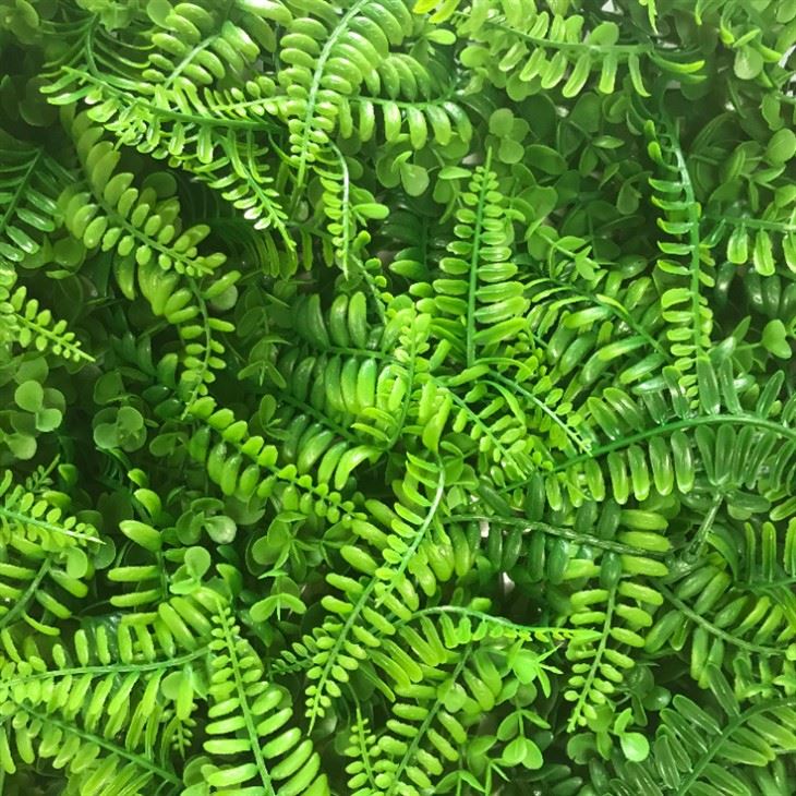 Artificial Plant Wall - Large Persian Lawn (1)