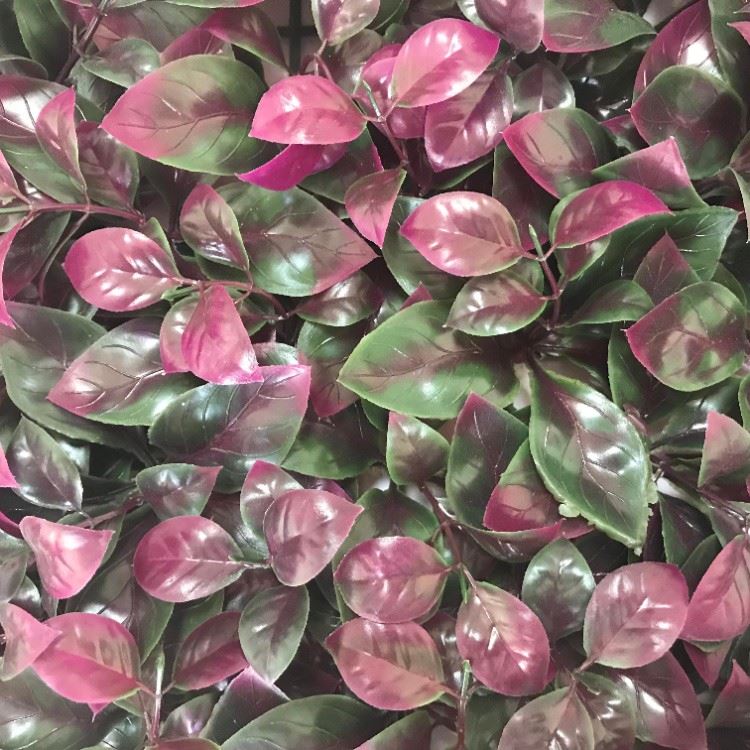 Artificial Plant Wall - Nameless Flower 1 (3)
