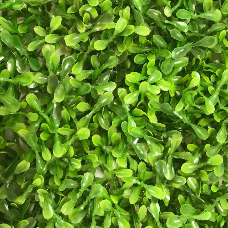 1703-29 Artificial Plant Wall - Double Layer Peanut Leaf (2) 1703-29 Artificial Plant Wall - Double Layer Peanut Leaf (2)