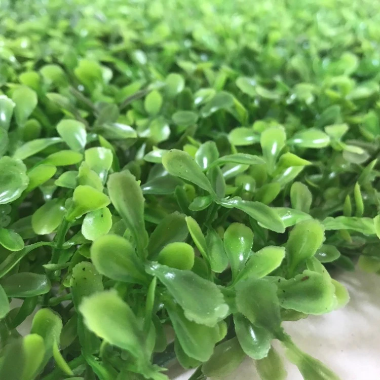 1703-29 Artificial Plant Wall - Double Layer Peanut Leaf (1) 1703-29 Artificial Plant Wall - Double Layer Peanut Leaf (1)