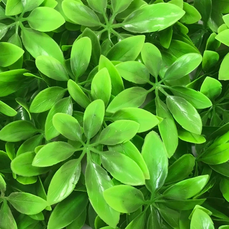 Artificial Plant Wall - Green Pachira Macrocarpa (2)