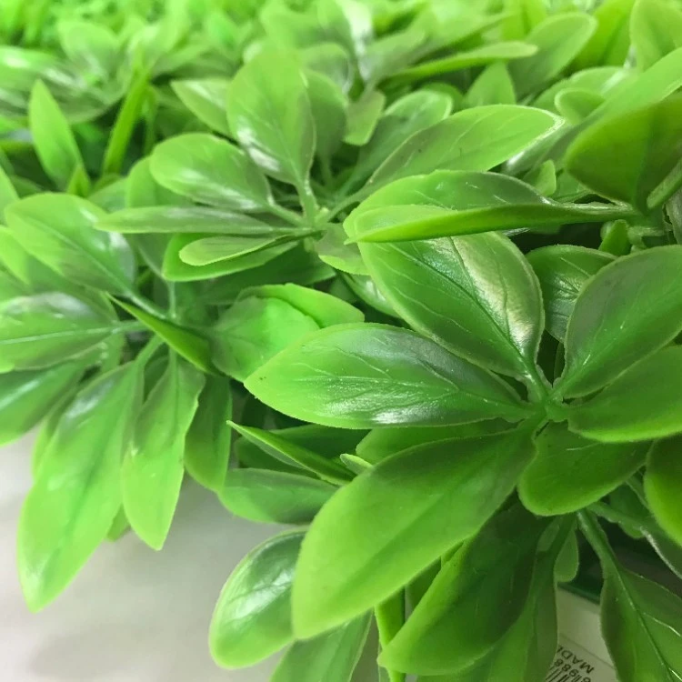 Artificial Plant Wall - Green Pachira Macrocarpa (3)