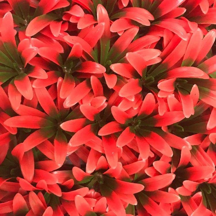 Artificial Plant Wall - Red Horn (1) Artificial Plant Wall - Red Horn (1)