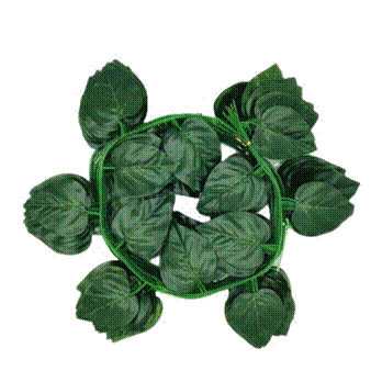 product-338-338 product-338-338